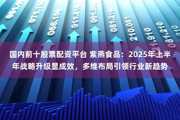国内前十股票配资平台 紫燕食品：2025年上半年战略升级显成效，多维布局引领行业新趋势