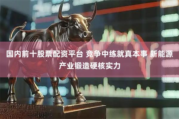 国内前十股票配资平台 竞争中练就真本事 新能源产业锻造硬核实力