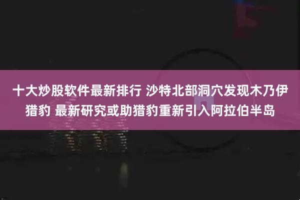十大炒股软件最新排行 沙特北部洞穴发现木乃伊猎豹 最新研究或助猎豹重新引入阿拉伯半岛