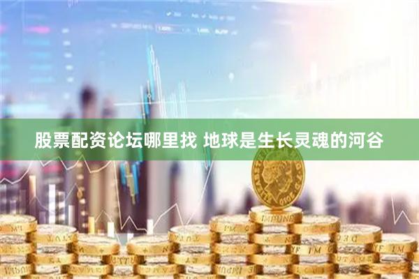 股票配资论坛哪里找 地球是生长灵魂的河谷