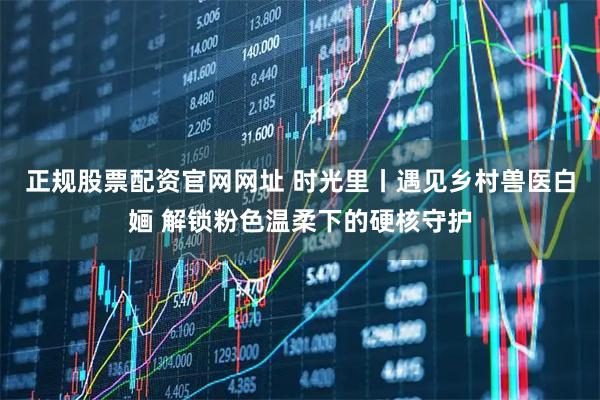 正规股票配资官网网址 时光里丨遇见乡村兽医白婳 解锁粉色温柔下的硬核守护