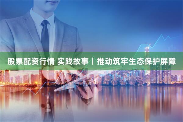 股票配资行情 实践故事丨推动筑牢生态保护屏障