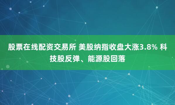 股票在线配资交易所 美股纳指收盘大涨3.8% 科技股反弹、能源股回落